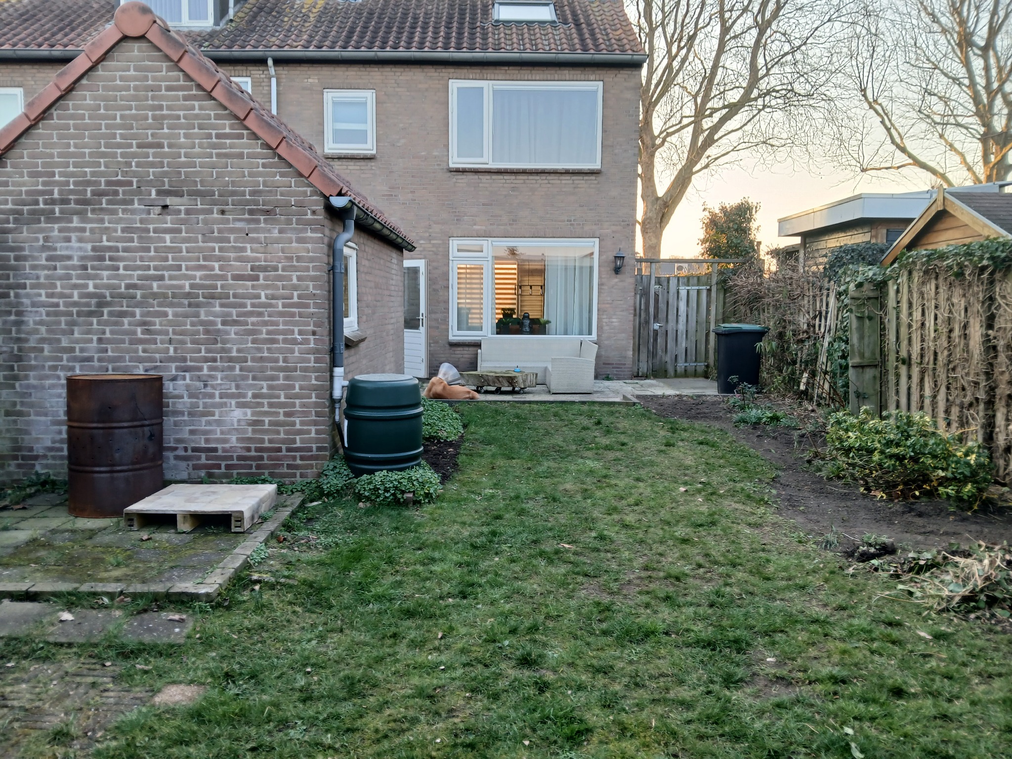 Overzicht van de tuin voor de werkzaamheden