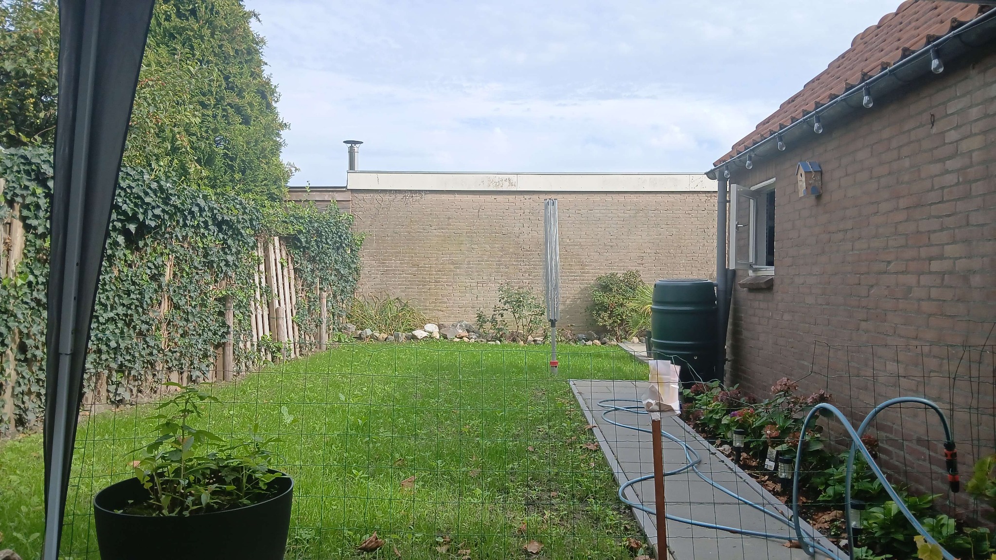 Afgerond buitenproject met groen gazon en looppad